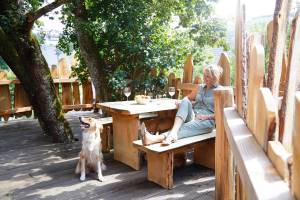 1620726155_baumhaus-aussen-11_original